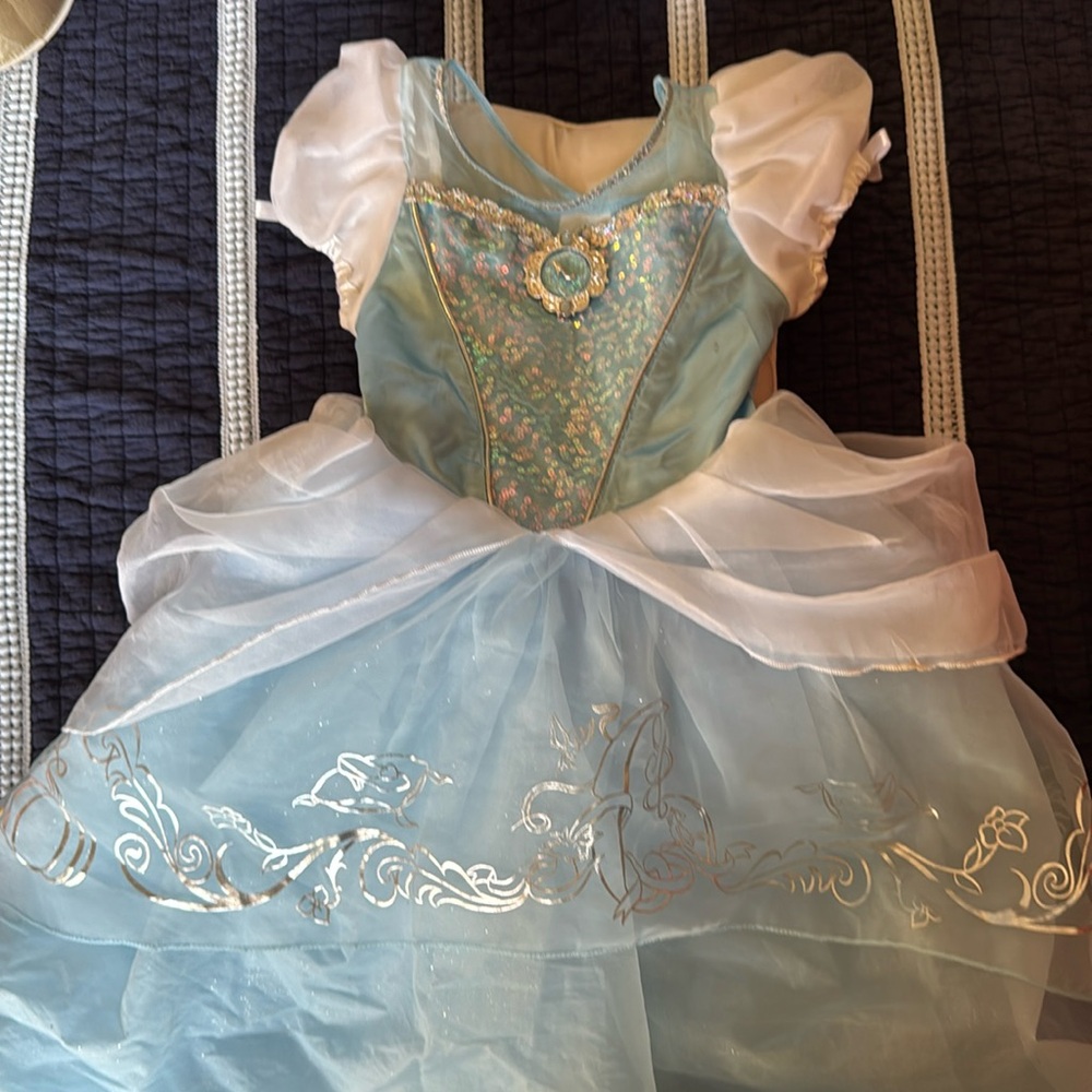 Disney Store Cinderella’s Costume